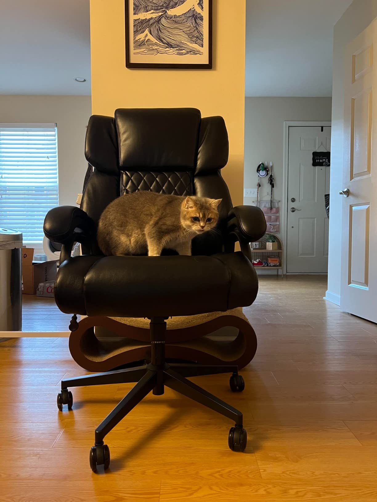 450lbs Oversized Power Recliner Chair for Big and Tall Adults, 52