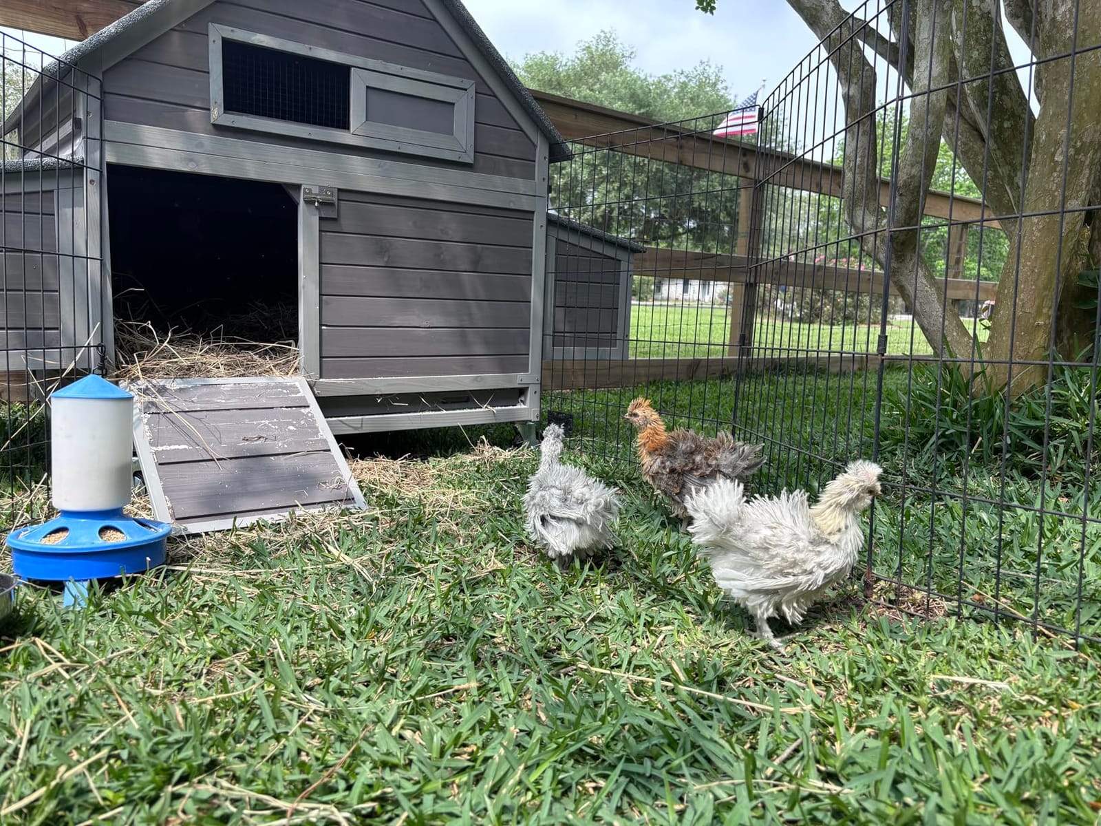 GUTINNEEN Large Chicken Coop with Run with All-Arounded Iron Frame Chicken Tractor Mobile Chicken House with Large Run and Nesting Box Waterproof Outdoor Poultry Cage for Backyard customer photo 1