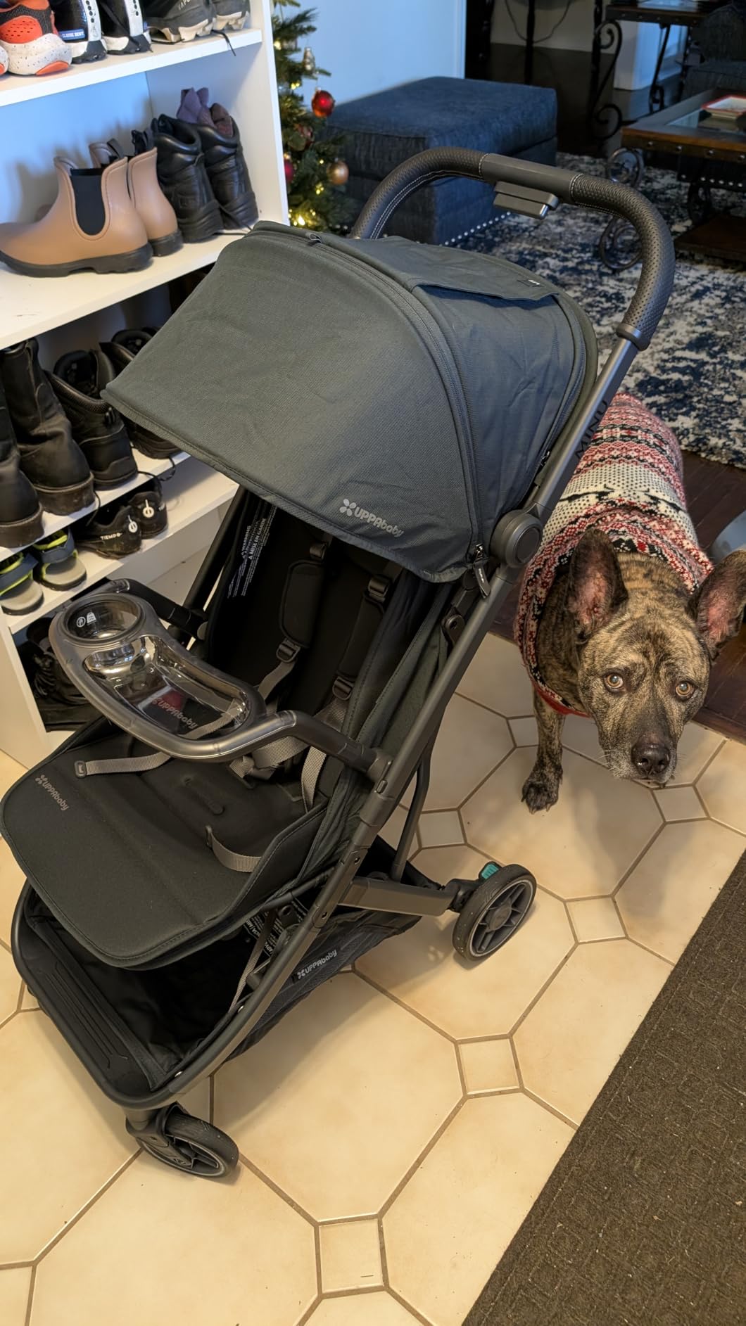 UPPAbaby Minu V3 Travel Stroller - Lightweight & Compact - James customer photo 1