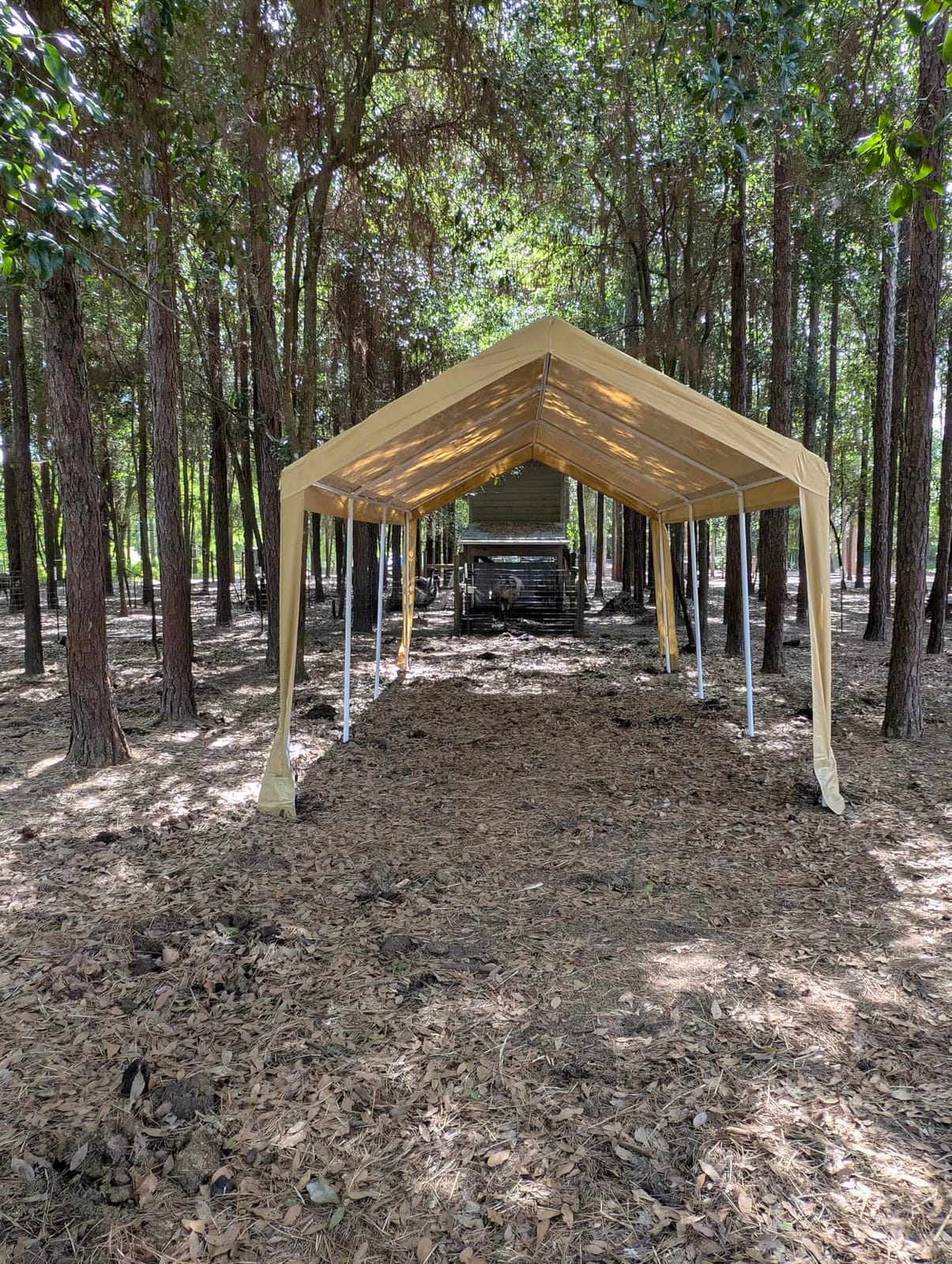 COBIZI 12x20 Heavy Duty Carport Portable Garage with Sidewalls customer photo 1
