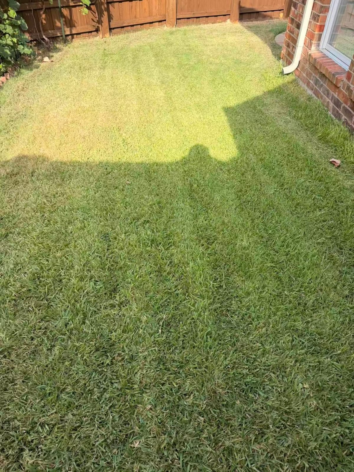 [All-Terrain Wire-Free] DREAME LiDAR Robot Lawn Mower A3 AWD 1000 + Cleaning Set+Blade Set, 360° 3D LiDAR & AI Dual Vision Smart Robotic Mowers for 0.25 Acre customer photo 1