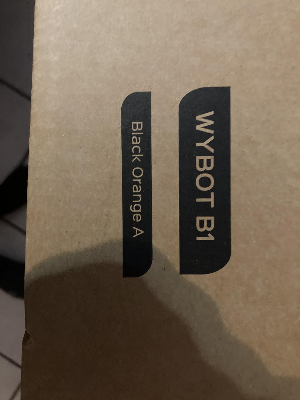 WYBOT B1 Cordless Robotic Pool Vacuum Pool Cleaner Robot for Inground Pools customer photo 1