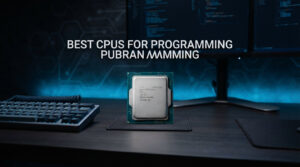 best cpus for programming