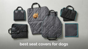 best seat covers for dogs