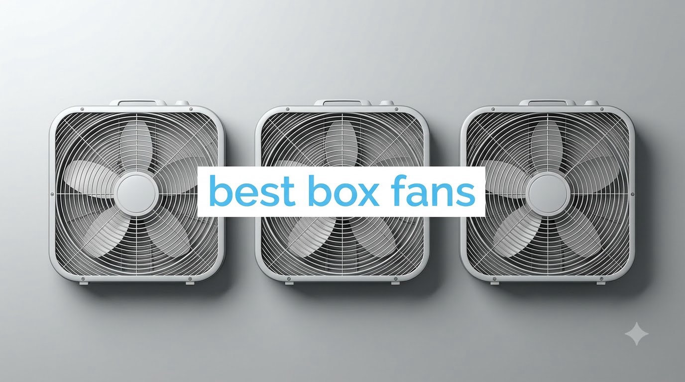 best box fans