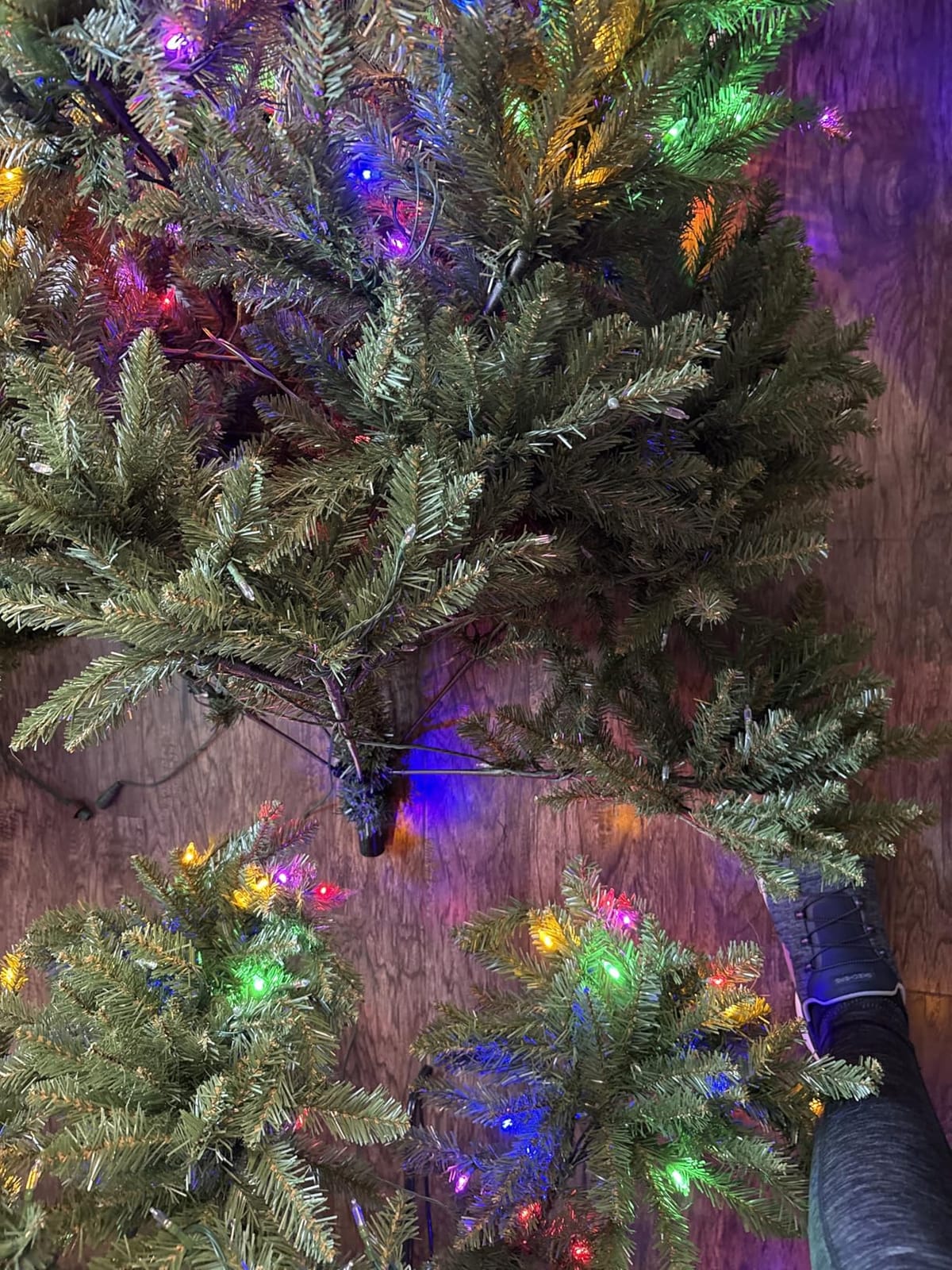 National Tree Dunhill Fir customer photo 1