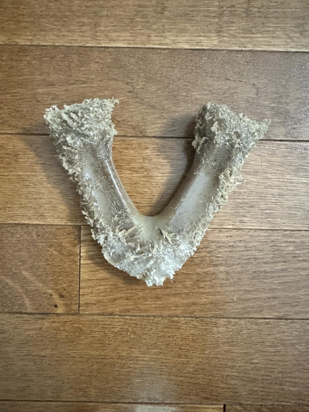 Benebone Wishbone Chew customer photo 1