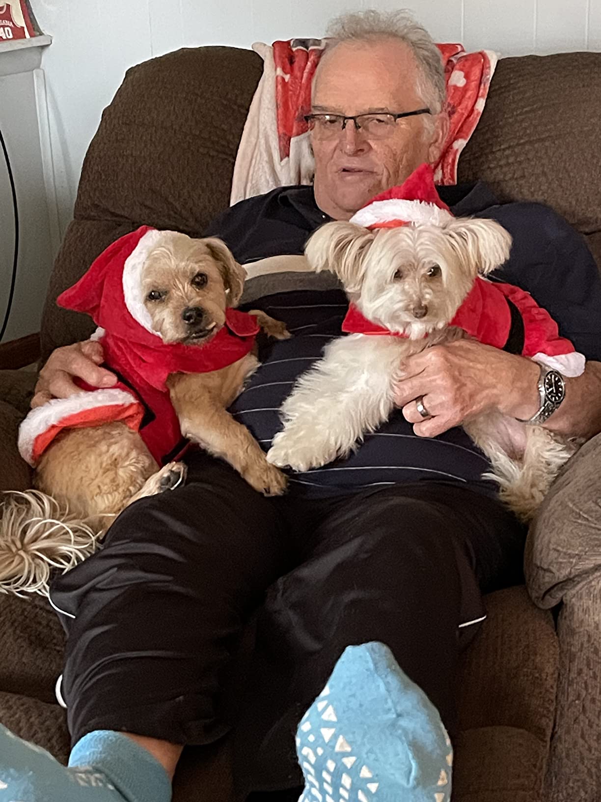 Purina Beneful IncrediBites customer photo 1