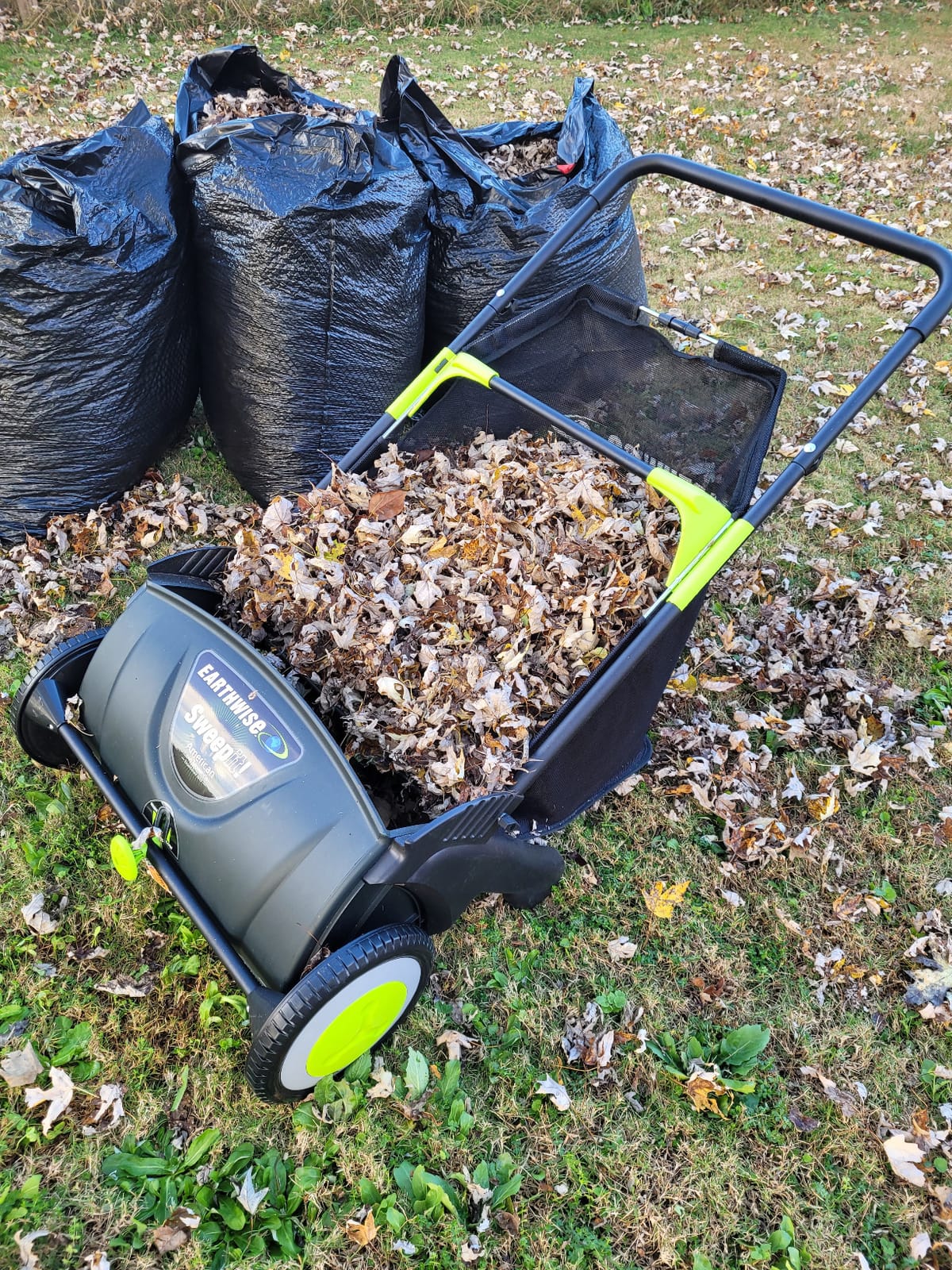 Earthwise LSW70021 21-Inch Width Leaf & Grass Push Lawn Sweeper, Black customer photo 2
