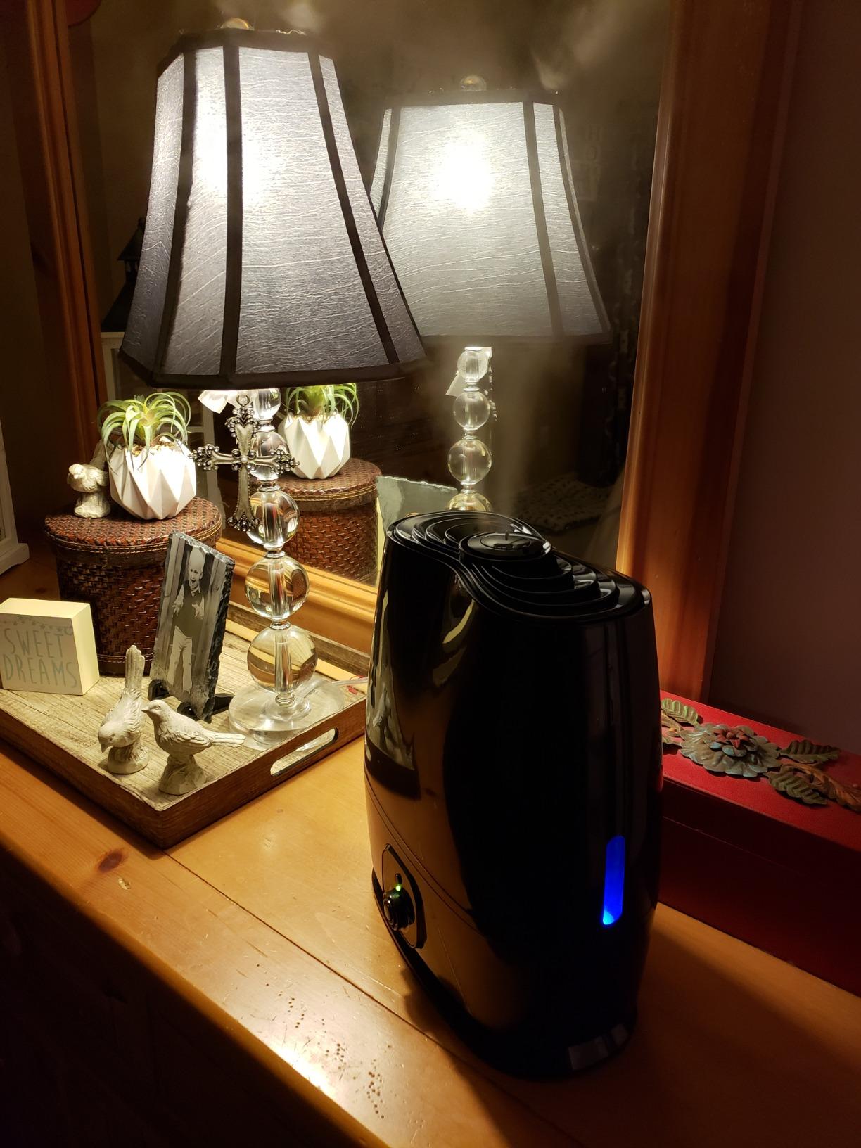 Everlasting Comfort 6L Large Humidifier for Bedroom, 28 dB Cool Mist customer photo 2