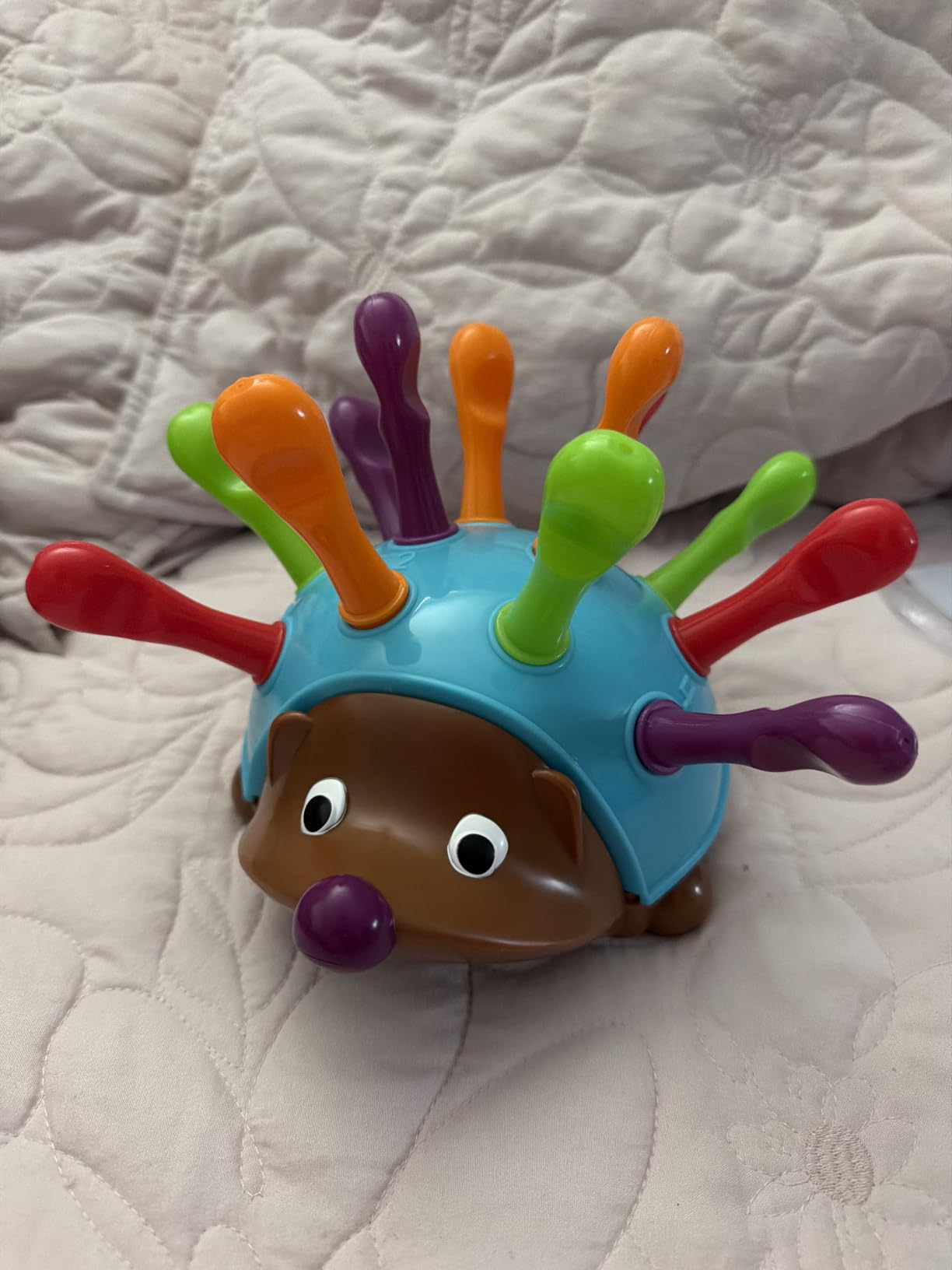 Spike the Fine Motor Hedgehog customer photo 2