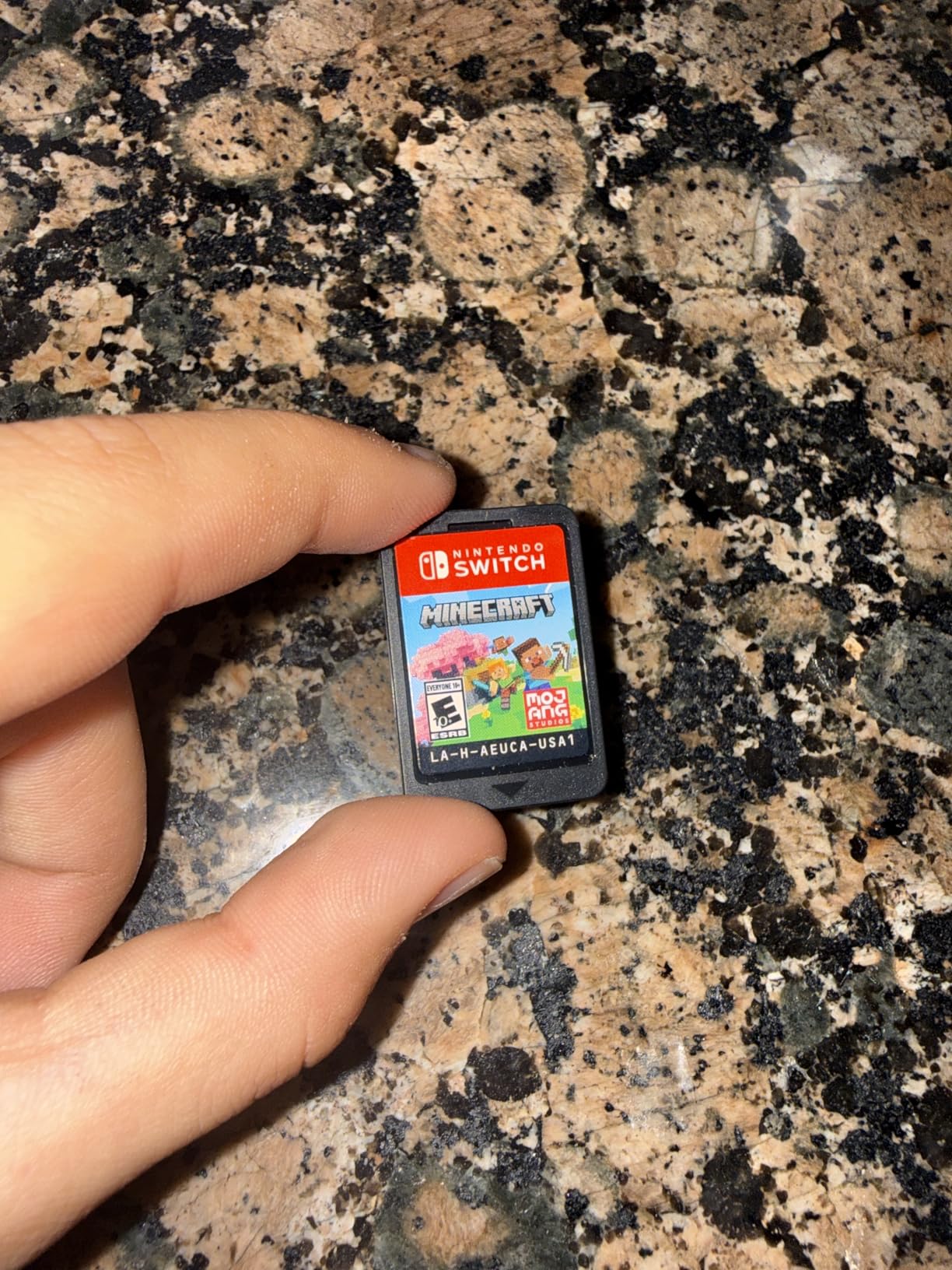 Minecraft customer photo 1