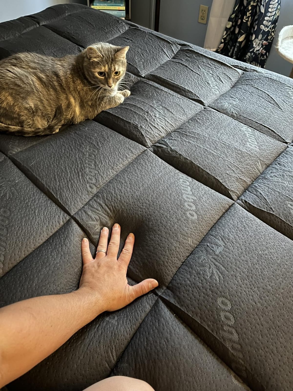 Niagara Sleep Solution Queen Ultra Soft Mattress Topper — Back Pain Relief customer photo 2