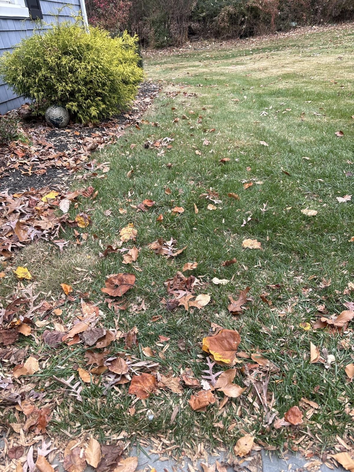 Gardena Manual Lawn and Leaf Collector Sweeper, Large Bag - 03565 customer photo 1