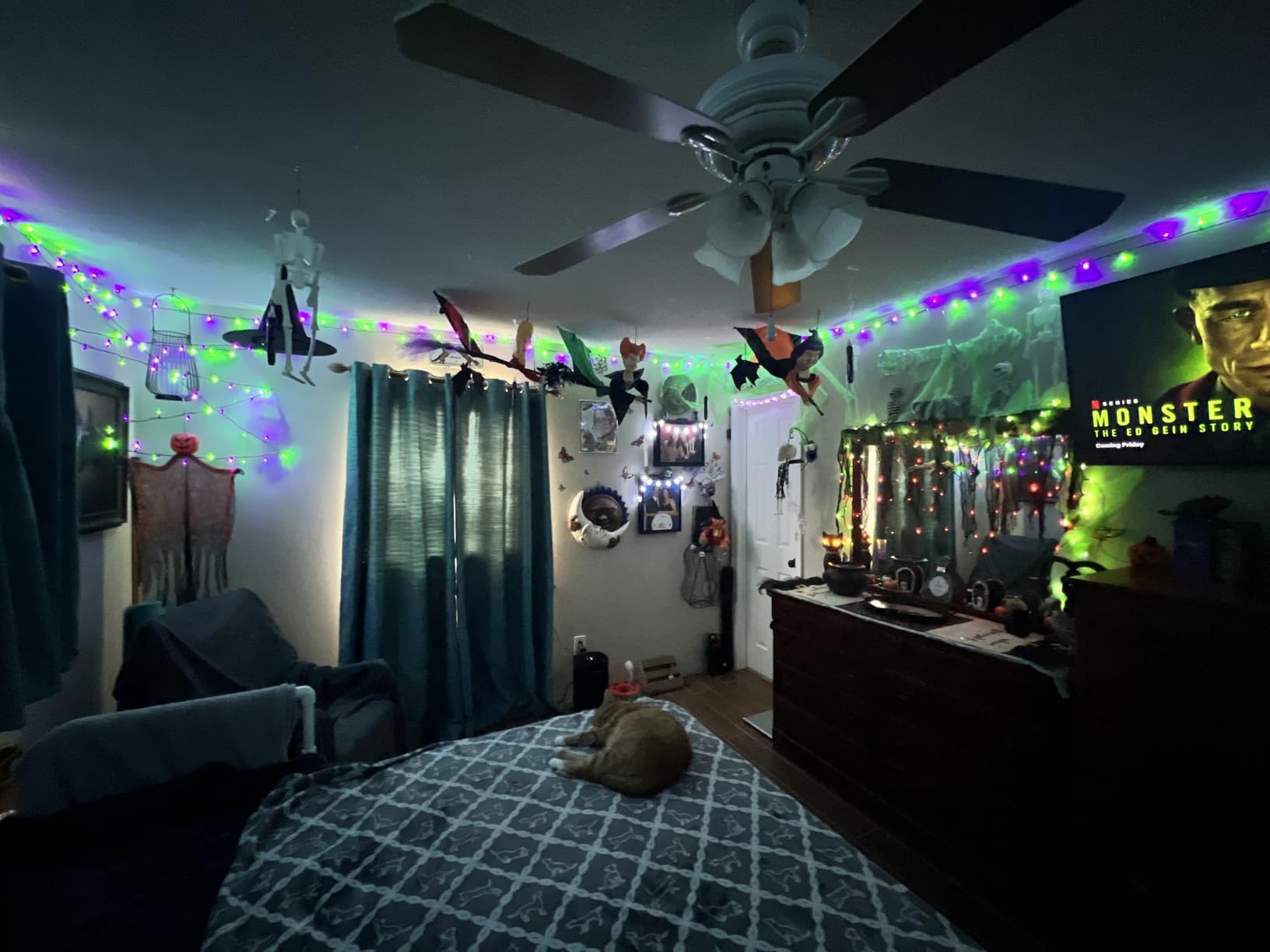 Brizled Halloween Lights Outdoor, 95.14ft 240 LED Purple & Orange Lights customer photo 1