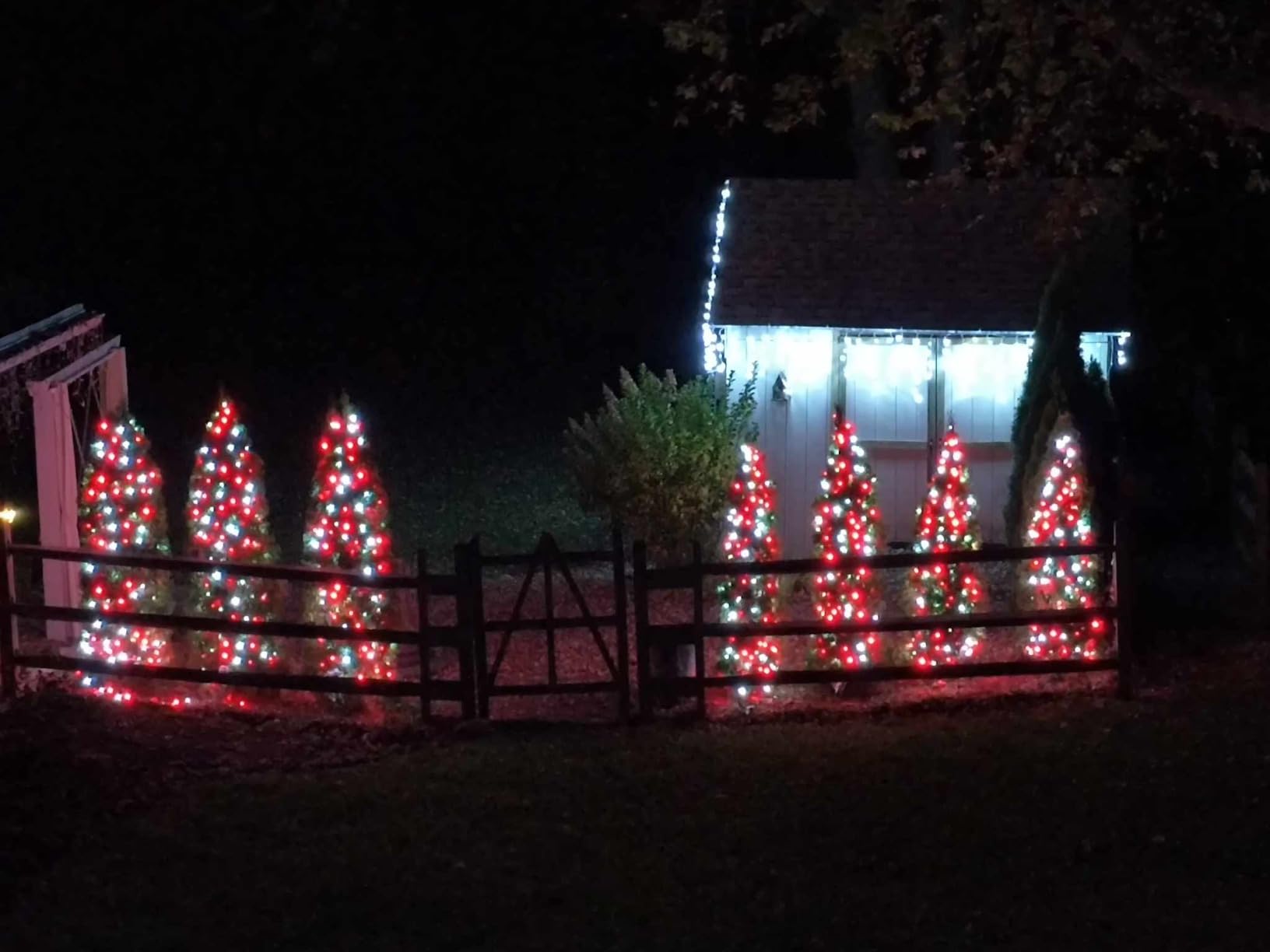Brizled Halloween Lights Outdoor, 95.14ft 240 LED Purple & Orange Lights customer photo 2