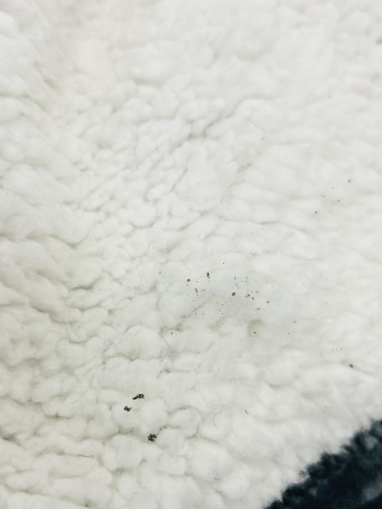 Westinghouse Sherpa Heated Throw customer photo 2