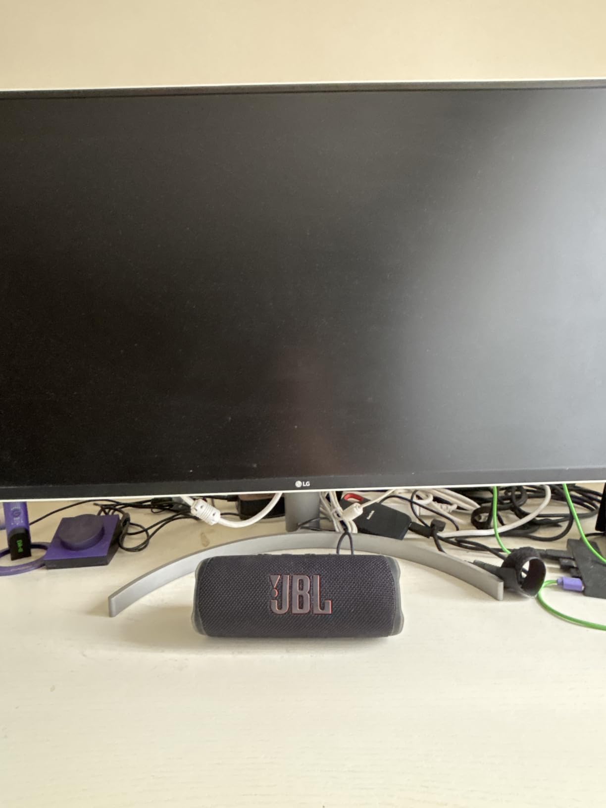 JBL Flip 6 customer photo 2
