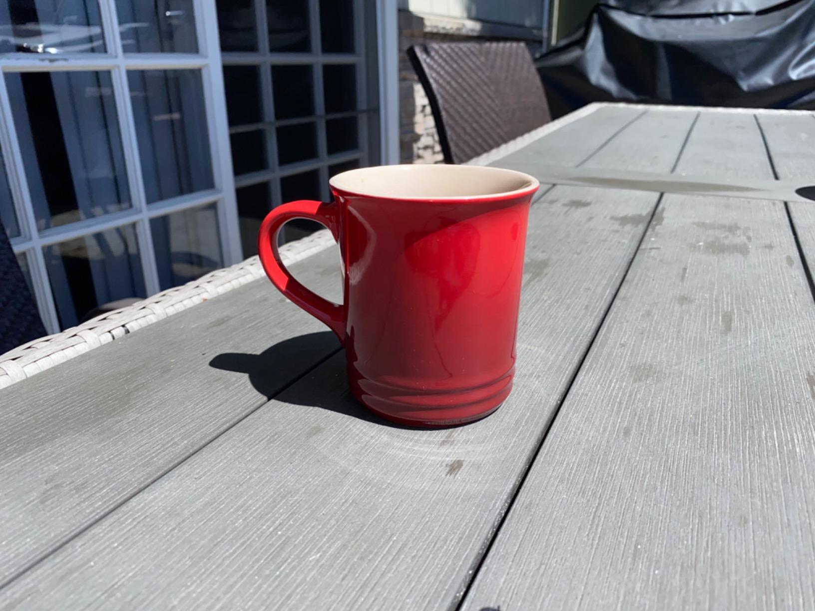 Le Creuset Stoneware Vancouver Mug, Set of 4, 14 oz. each, Sea Salt customer photo 1