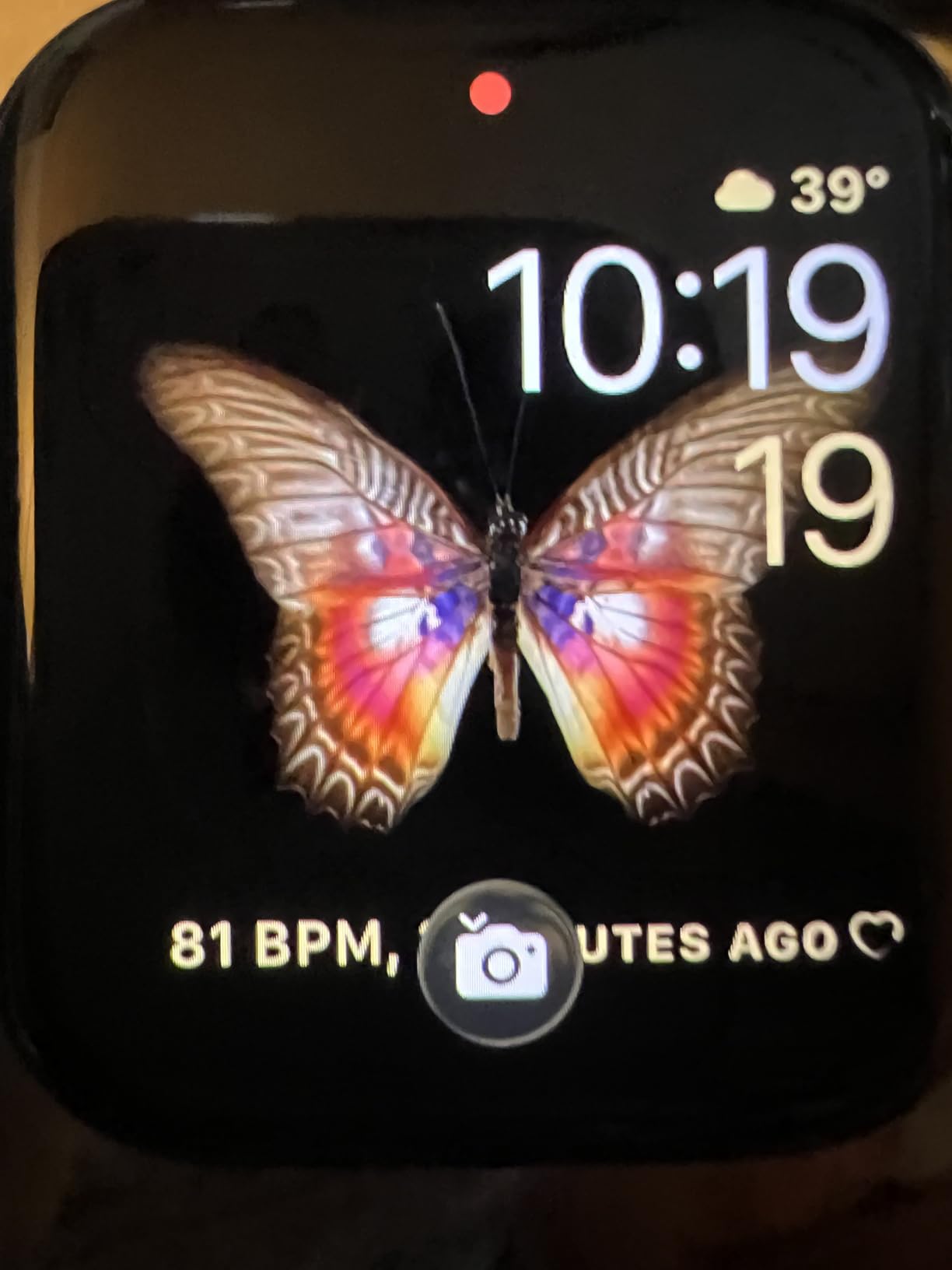 Apple Watch SE 2 customer photo 2