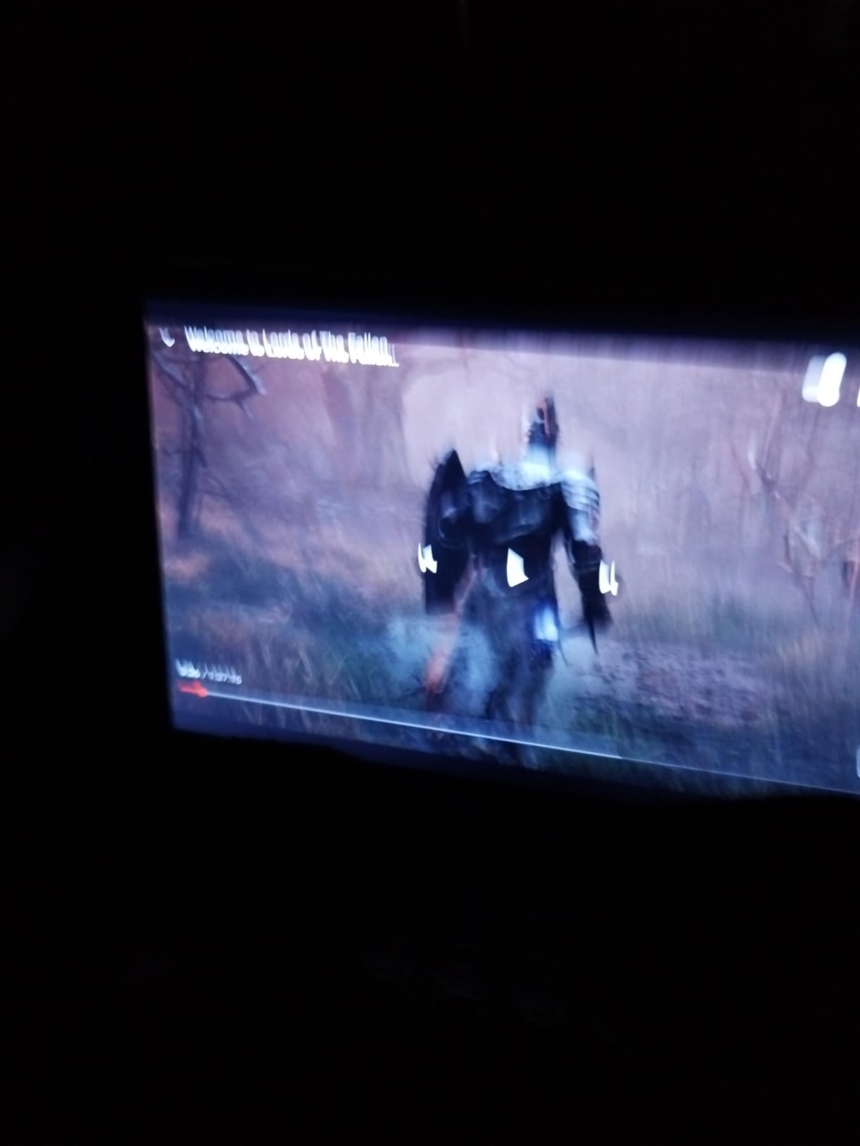 Lords of the Fallen customer photo 1
