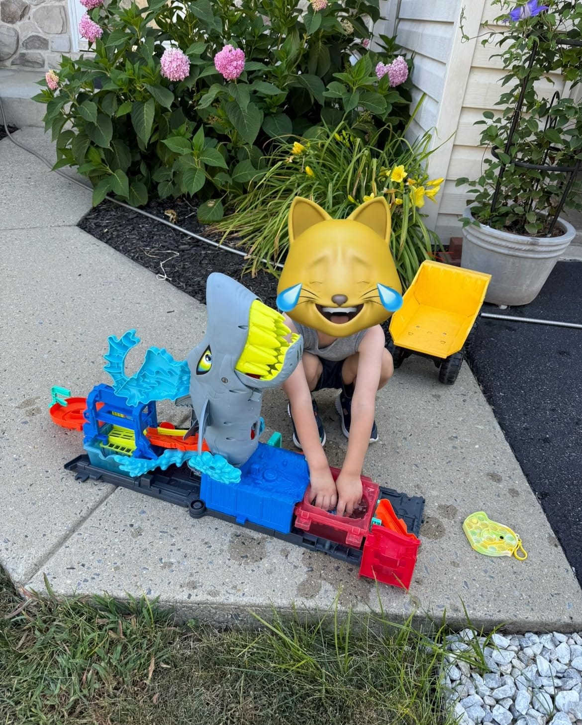 Hot Wheels City Ultra Shark Car Wash & Color Reveal Toy Vehicle customer photo 2