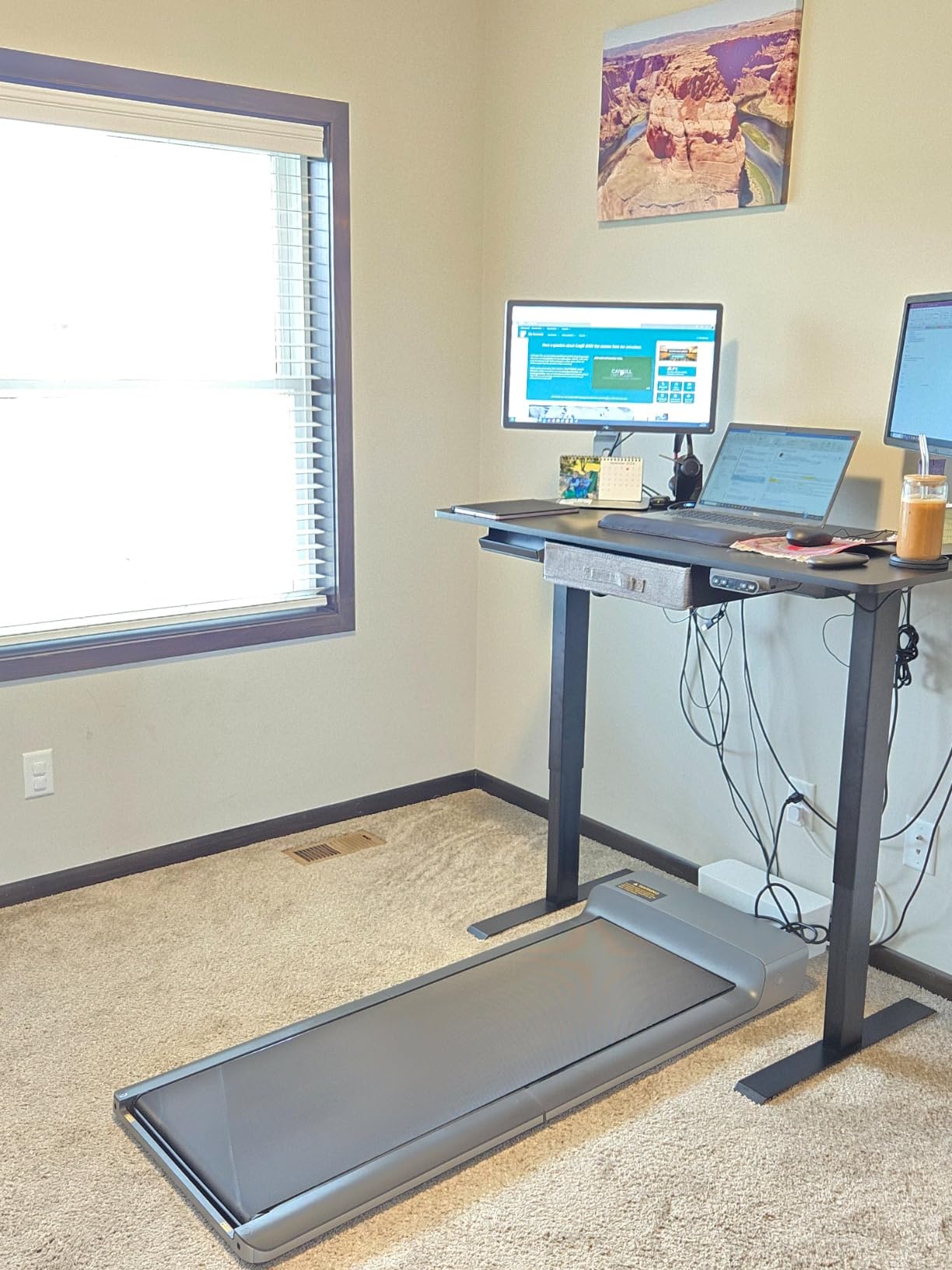 WalkingPad Foldable Walking Pad Treadmill, Compact Under Desk Design customer photo 2
