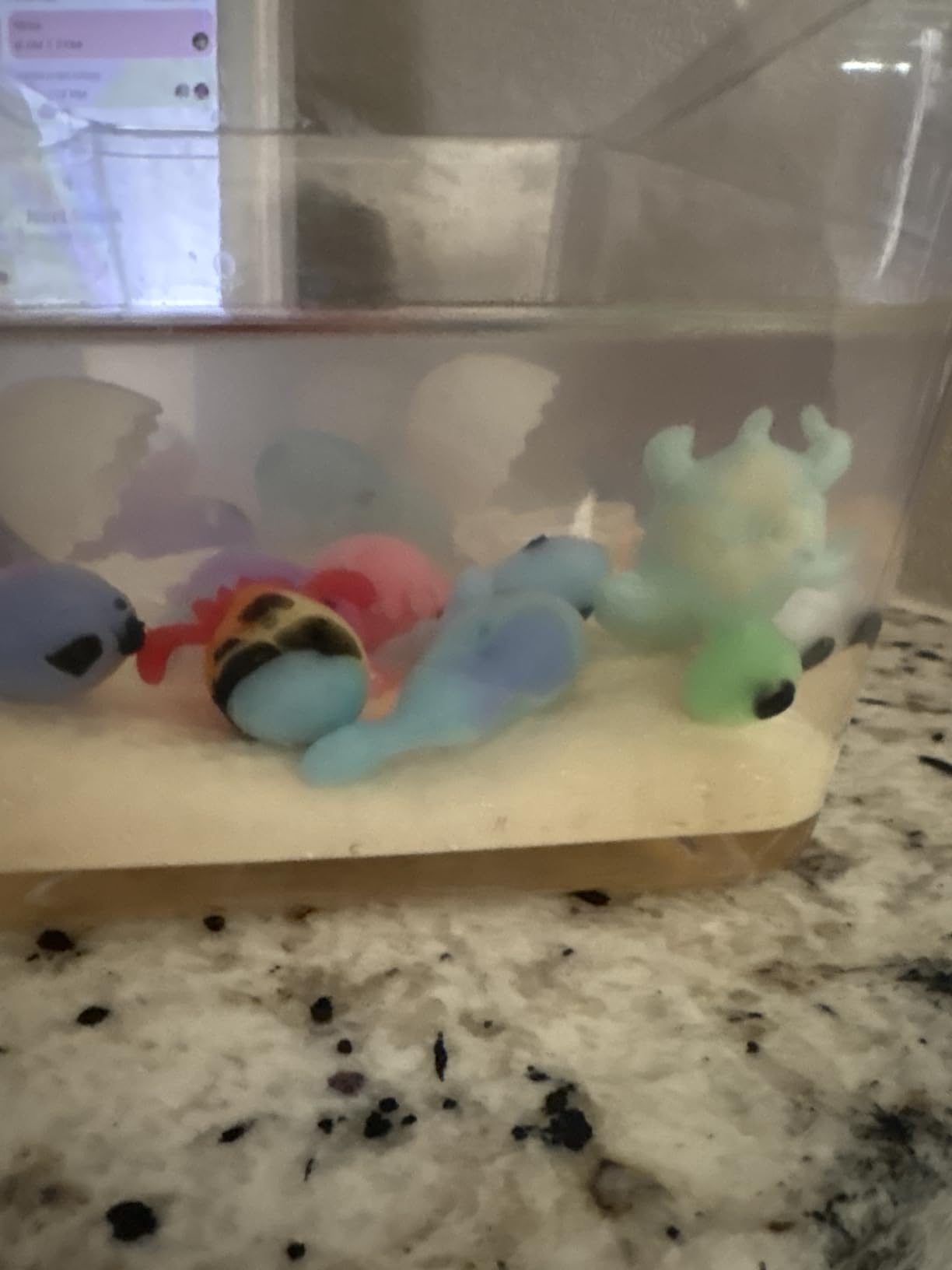 Dan&Darci Magic Gel Water Pets Kit - Birthday Gifts - Squishy Maker customer photo 1