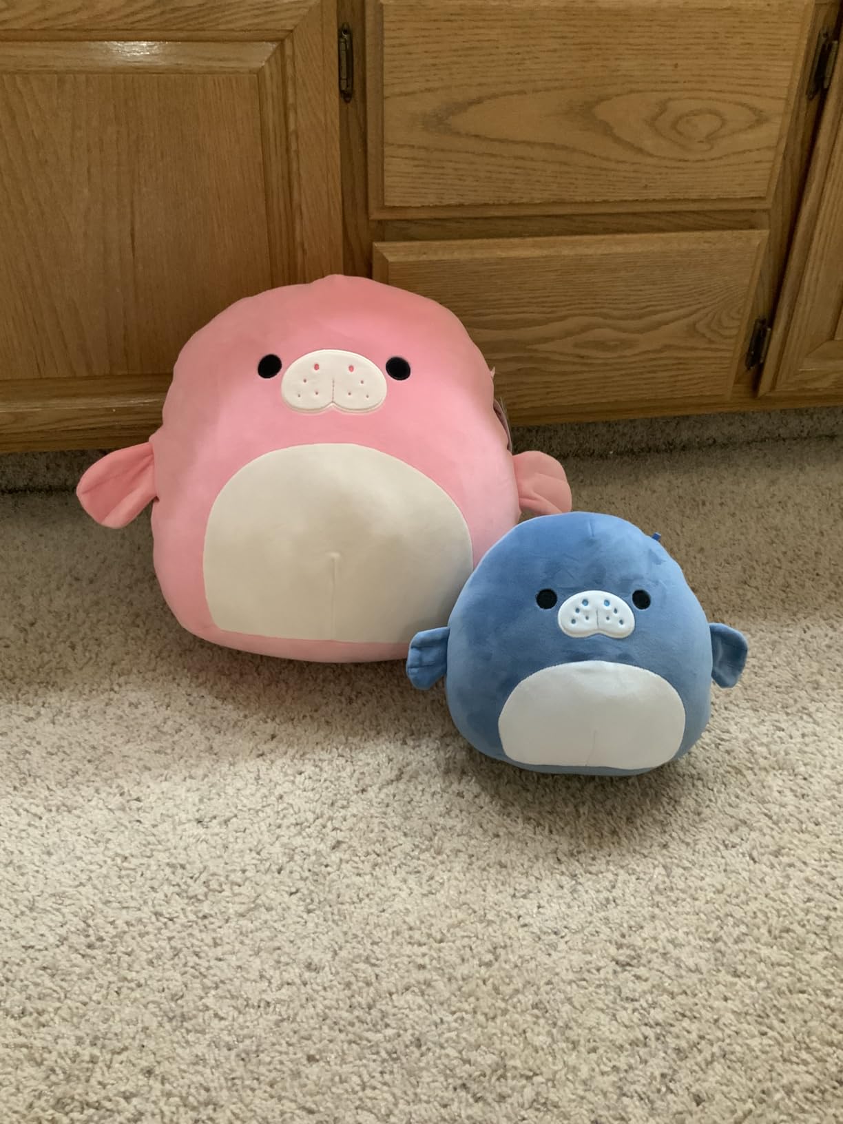 Squishmallows Original 14in Zaid the Green Pickle Jar – Official Jazwares Plush (Large) customer photo 1
