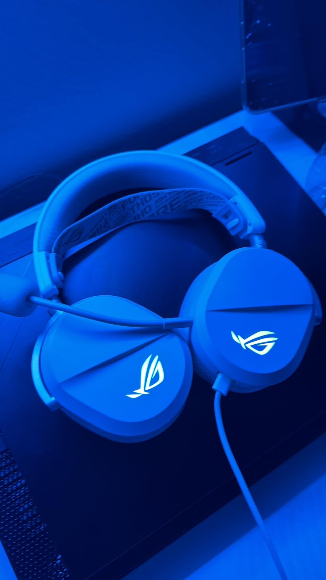 ROG Pelta customer photo 1