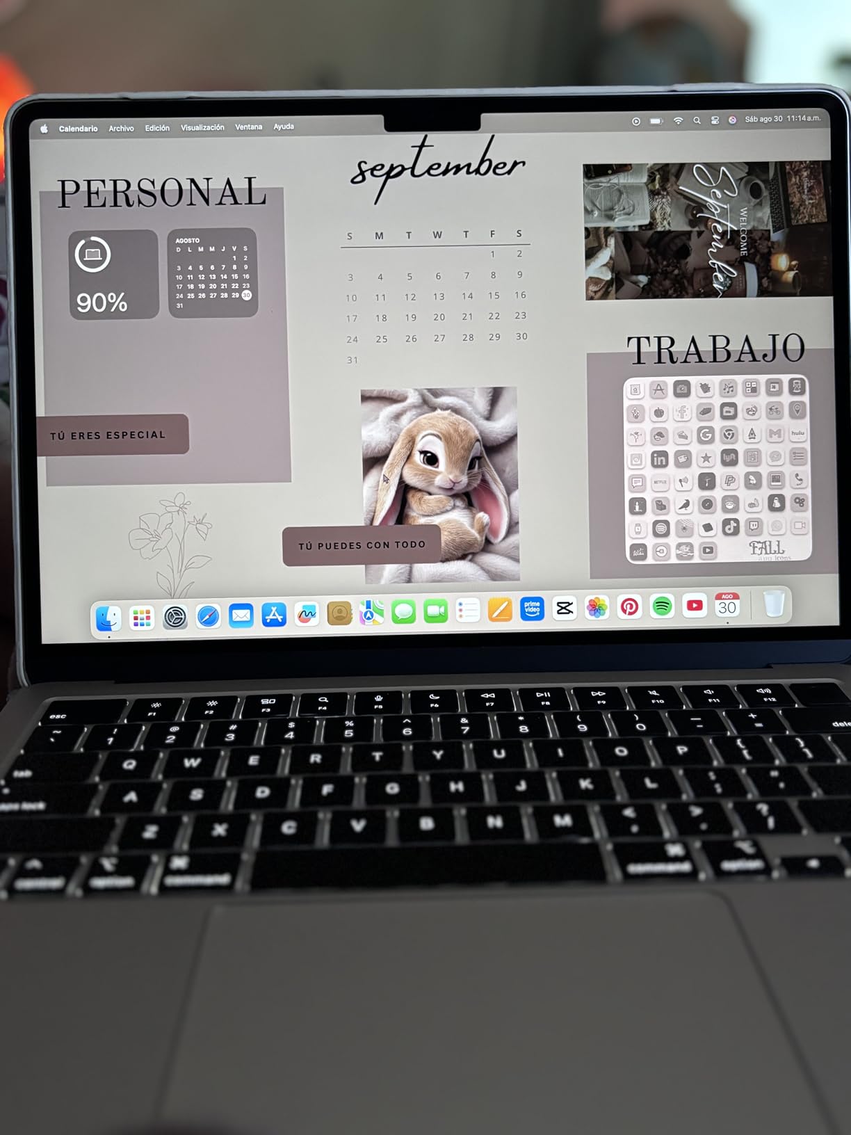 Apple MacBook Air M4 13-inch customer photo 2