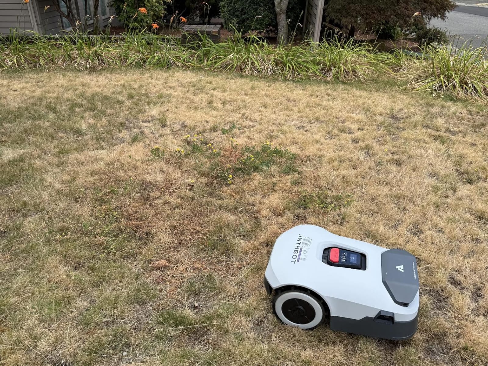 ANTHBOT Robot Lawn Mower - NO Wire, Full Band RTK+4-Eye Vision Robotic Lawnmower for 1/2 Acre, Auto Mapping, Accurate Obstacle Avoidance, Intelligent Path Planning customer photo 2