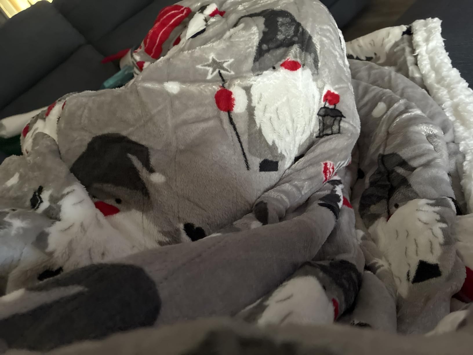 LaffyLo Full Size Heated Blanket customer photo 2