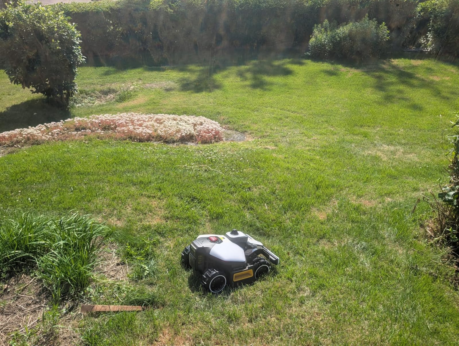(2026 Upgrade) Mammotion LUBA mini 2 AWD 1500H Robot Lawn Mower, for 0.37 Acres, 360° LiDAR+Dual-Camera AI Vision, 80% Slope, DropMow, 20 Multi-Zone Management customer photo 1