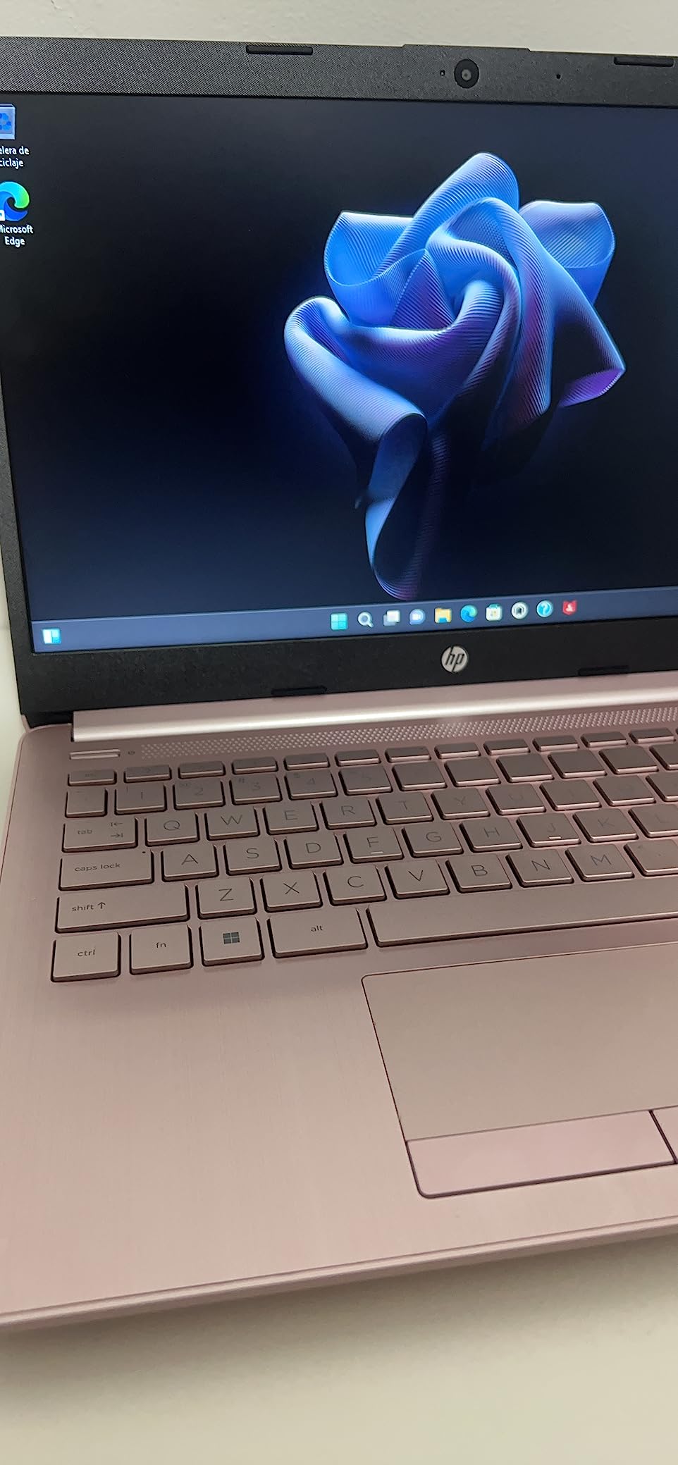 HP 14-inch Essential Laptop customer photo 1