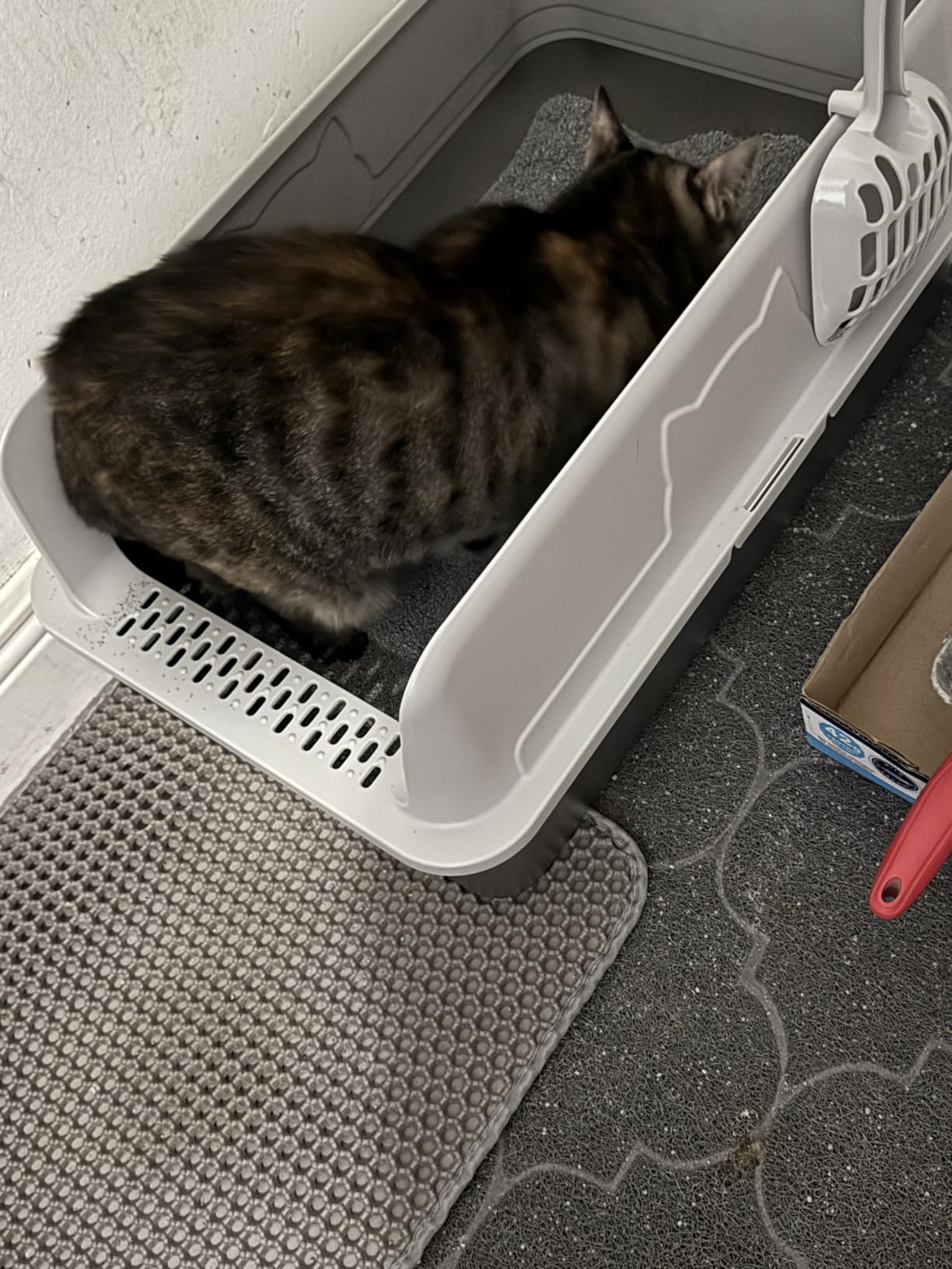 Self Cleaning Open Top Automatic Multiple Cat Litter Box, White customer photo 1