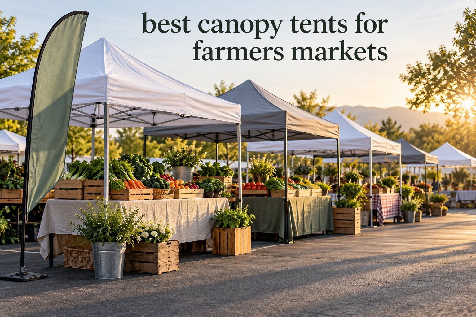 best canopy tents for farmers markets
